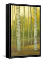 Sunny Birch Grove I-Julie Joy-Framed Stretched Canvas