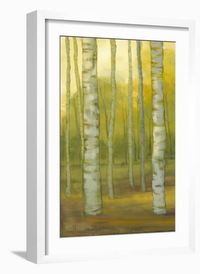 Sunny Birch Grove I-Julie Joy-Framed Art Print