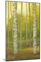 Sunny Birch Grove I-Julie Joy-Mounted Art Print