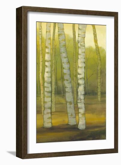 Sunny Birch Grove II-Julie Joy-Framed Art Print