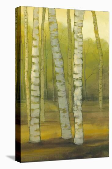 Sunny Birch Grove II-Julie Joy-Stretched Canvas