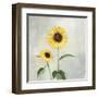 Sunny Blooms I-Julia Purinton-Framed Art Print