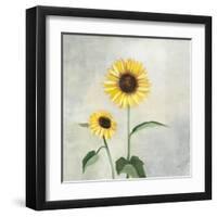 Sunny Blooms I-Julia Purinton-Framed Art Print