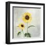 Sunny Blooms I-Julia Purinton-Framed Art Print