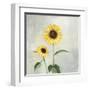 Sunny Blooms I-Julia Purinton-Framed Art Print