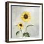 Sunny Blooms I-Julia Purinton-Framed Art Print