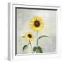 Sunny Blooms I-Julia Purinton-Framed Art Print