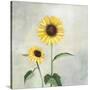 Sunny Blooms I-Julia Purinton-Stretched Canvas