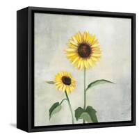 Sunny Blooms I-Julia Purinton-Framed Stretched Canvas