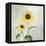 Sunny Blooms I-Julia Purinton-Framed Stretched Canvas
