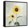 Sunny Blooms I-Julia Purinton-Framed Stretched Canvas