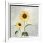 Sunny Blooms I-Julia Purinton-Framed Art Print