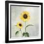 Sunny Blooms I-Julia Purinton-Framed Art Print