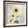 Sunny Blooms I-Julia Purinton-Framed Art Print