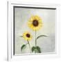 Sunny Blooms I-Julia Purinton-Framed Premium Giclee Print