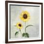 Sunny Blooms I-Julia Purinton-Framed Premium Giclee Print