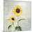 Sunny Blooms I-Julia Purinton-Mounted Premium Giclee Print