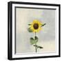 Sunny Blooms II-Julia Purinton-Framed Art Print