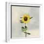 Sunny Blooms II-Julia Purinton-Framed Art Print