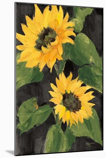 Sunny Blooms on Black-Albena Hristova-Mounted Art Print