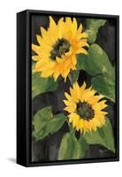 Sunny Blooms on Black-Albena Hristova-Framed Stretched Canvas