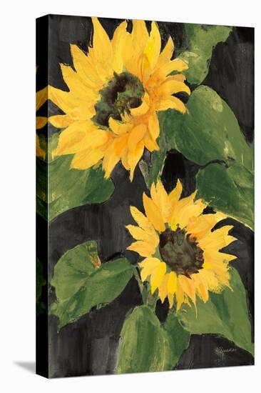 Sunny Blooms on Black-Albena Hristova-Stretched Canvas