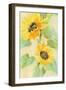 Sunny Blooms-Albena Hristova-Framed Art Print