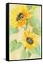 Sunny Blooms-Albena Hristova-Framed Stretched Canvas