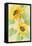 Sunny Blooms-Albena Hristova-Framed Stretched Canvas