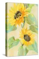 Sunny Blooms-Albena Hristova-Stretched Canvas