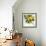 Sunny Charm-Tania Bello-Framed Giclee Print displayed on a wall