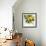 Sunny Charm-Tania Bello-Framed Giclee Print displayed on a wall