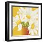 Sunny Daisies-Sarah Horsfall-Framed Giclee Print