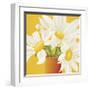 Sunny Daisies-Sarah Horsfall-Framed Giclee Print