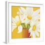 Sunny Daisies-Sarah Horsfall-Framed Giclee Print