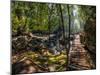 Sunny Day at Tropical Rain Forest Landscape with Wooden Bridge. Cambodia-Im Perfect Lazybones-Mounted Photographic Print