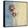 Sunny Day II-Tandi Venter-Framed Stretched Canvas