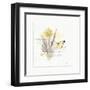 Sunny Day III-Katie Pertiet-Framed Art Print