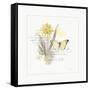 Sunny Day III-Katie Pertiet-Framed Stretched Canvas