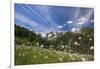 Sunny Day on Cotton Grass Surrounded by Green Meadows, Orobie Alps, Arigna Valley-Roberto Moiola-Framed Photographic Print