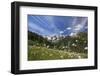 Sunny Day on Cotton Grass Surrounded by Green Meadows, Orobie Alps, Arigna Valley-Roberto Moiola-Framed Photographic Print