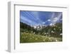 Sunny Day on Cotton Grass Surrounded by Green Meadows, Orobie Alps, Arigna Valley-Roberto Moiola-Framed Photographic Print