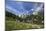 Sunny Day on Cotton Grass Surrounded by Green Meadows, Orobie Alps, Arigna Valley-Roberto Moiola-Mounted Photographic Print