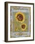 Sunny Day Vi-Daphné B.-Framed Giclee Print