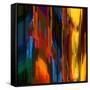 Sunny Day-Ursula Abresch-Framed Stretched Canvas