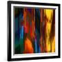 Sunny Day-Ursula Abresch-Framed Photographic Print