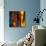 Sunny Day-Ursula Abresch-Photographic Print displayed on a wall