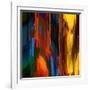 Sunny Day-Ursula Abresch-Framed Photographic Print