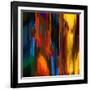 Sunny Day-Ursula Abresch-Framed Photographic Print