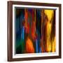 Sunny Day-Ursula Abresch-Framed Photographic Print